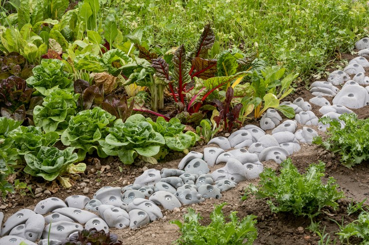 Low Res_Mirko Canesi_Cornucopia_2017_Climbing holds, plastic drainage tiles, metal screws_Orti Ghiglio produce garden, Parco delle Cave, Milan_ Photo Delfino Sisto Legnani e Marco Cappel