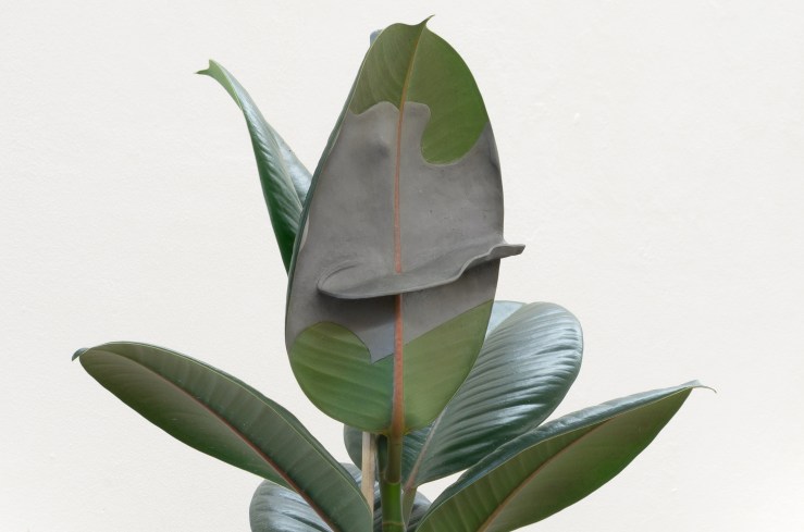 Mirko Canesi_Pls..._2017_plastilina, pianta da appartamento_dimensioni variabili