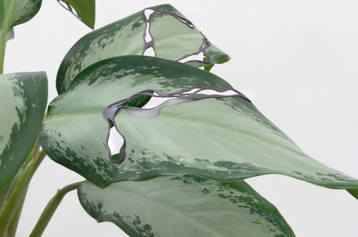 Plant, 2017, magnetic film, plasticine, variable dimensions