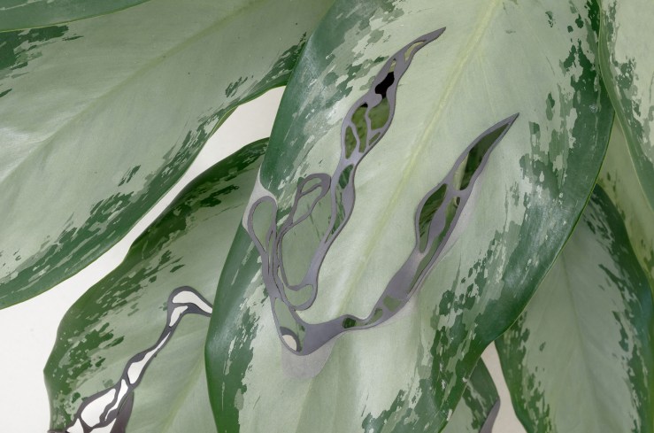 Plant, 2017, magnetic film, plasticine, variable dimensions