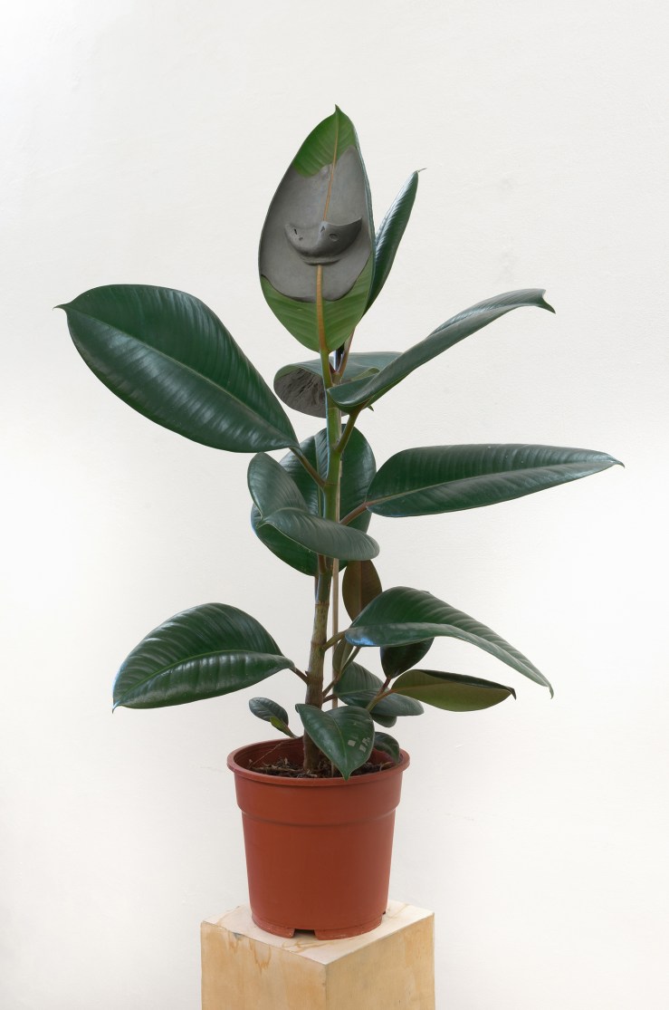 Pls... _2017_plasticine, apartment plant_variable dimensions