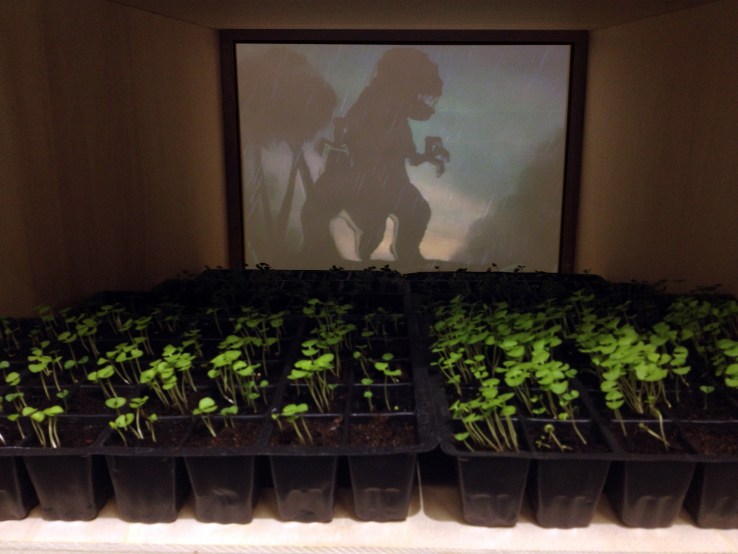 Cinema Fantasia interno_Scena acquatica dettaglio_legno rivestito da intarsi in PVC_117x45 cm_2014.jpg