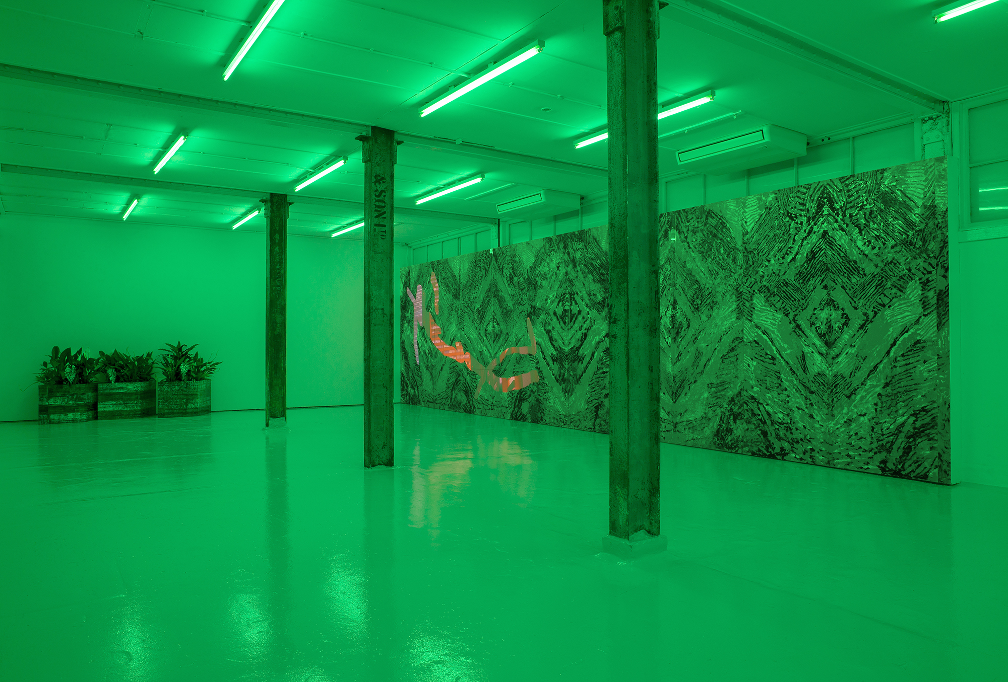 Gallery1- Installation View, Gallery, Mirko Canesi, Contra, 2018 at David Dale Gallery, Glasgow