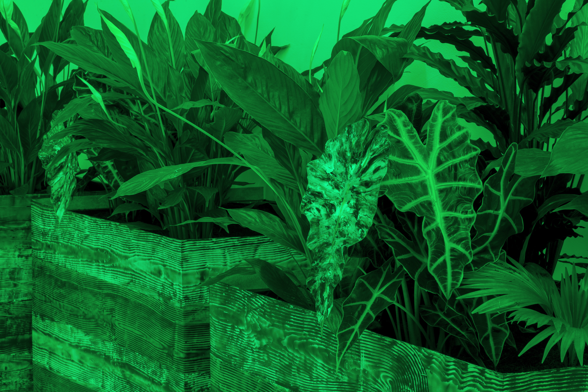 Gallery13- Installation View, Gallery, Mirko Canesi, Contra, 2018 at David Dale Gallery, Glasgow