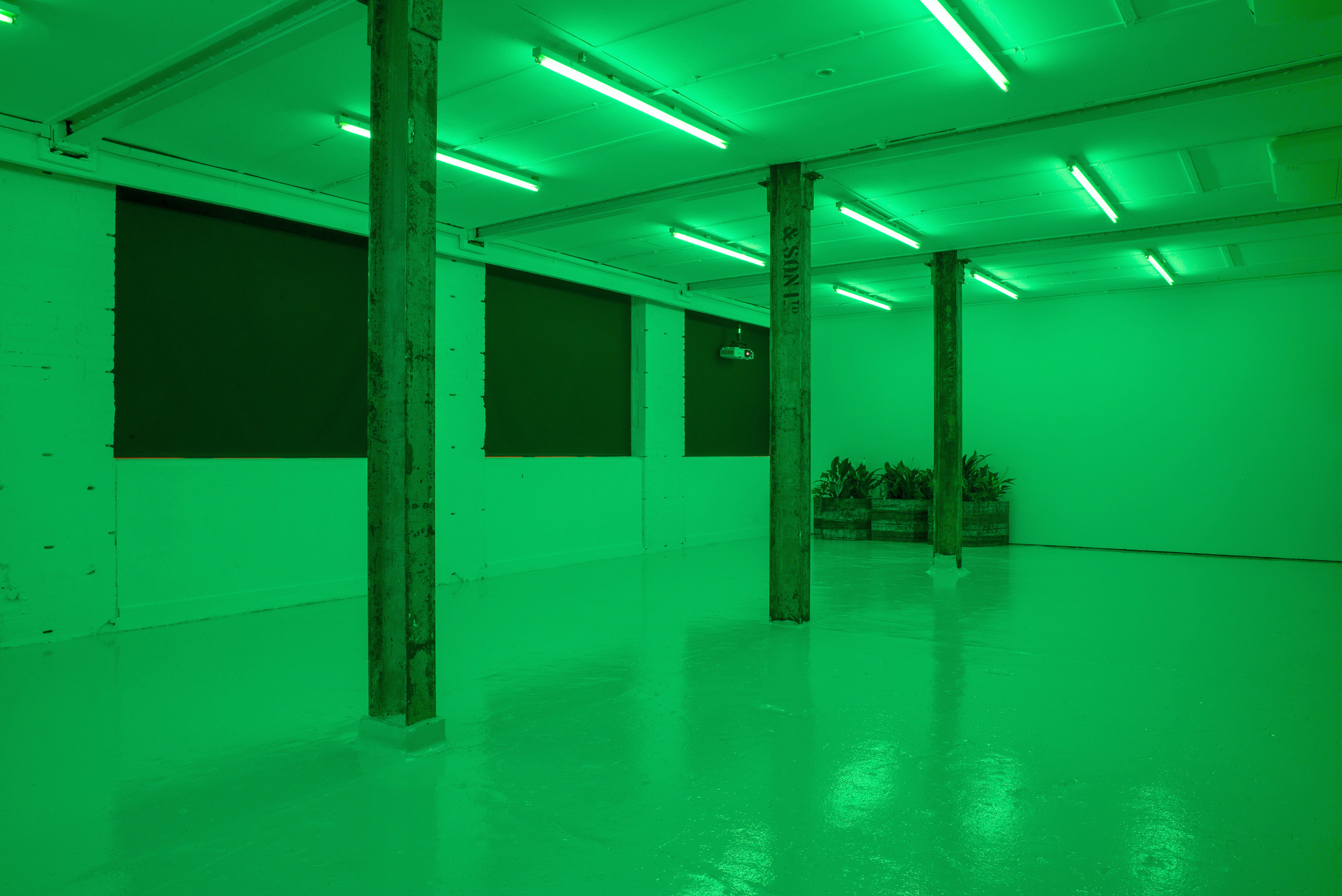 Gallery2- Installation View, Gallery, Mirko Canesi, Contra, 2018 at David Dale Gallery, Glasgow