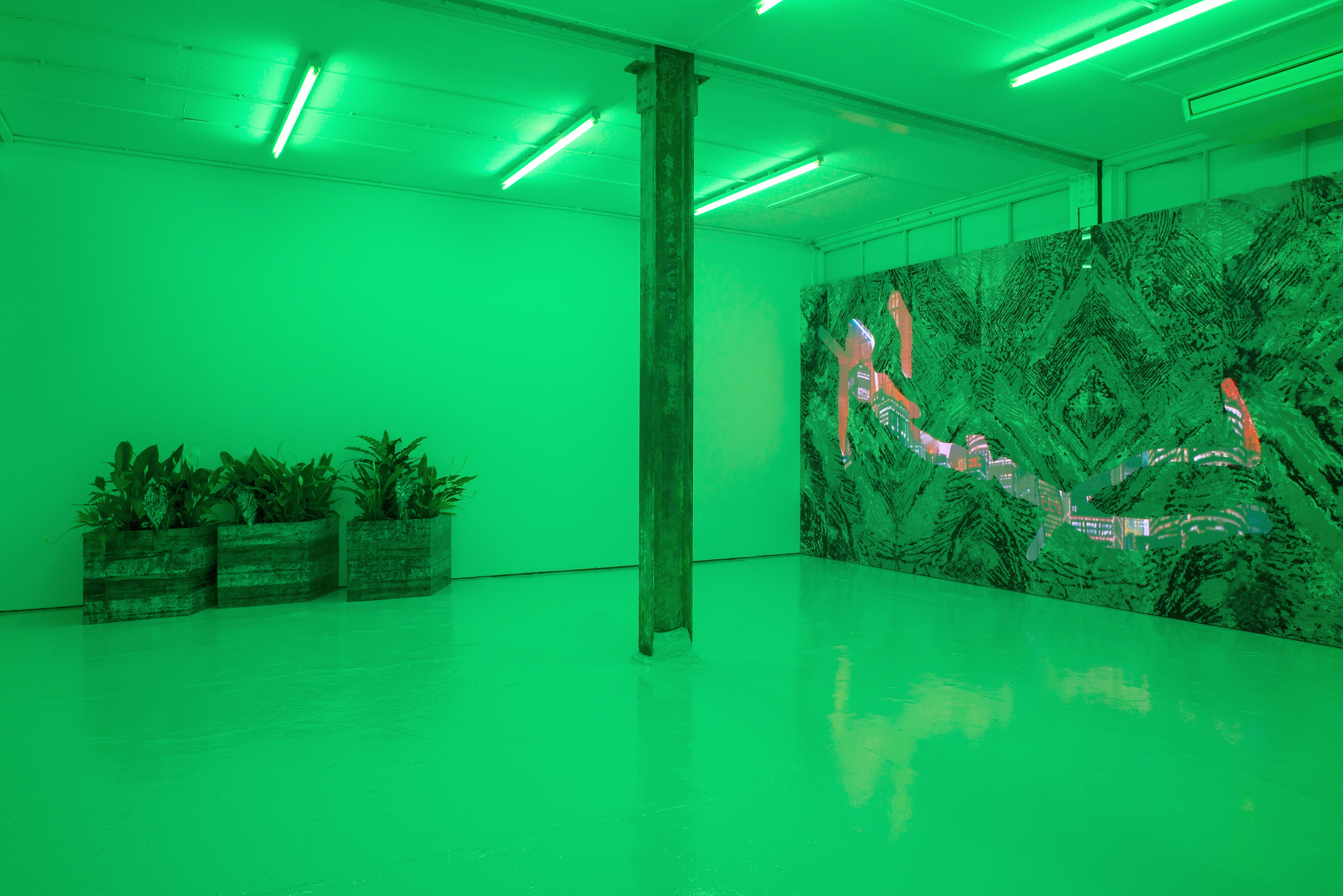 Gallery4- Installation View, Gallery, Mirko Canesi, Contra, 2018 at David Dale Gallery, Glasgow
