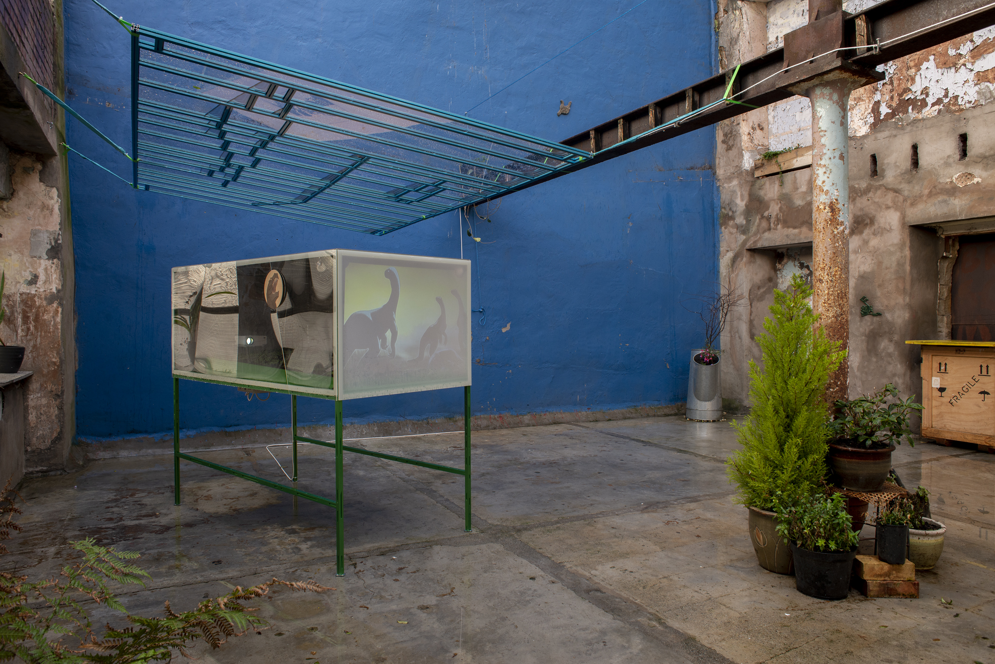 Garden1 - Cinema for Basil, Mirko Canesi, Contra, Garden, 2018 at David Dale Gallery, Glasgow