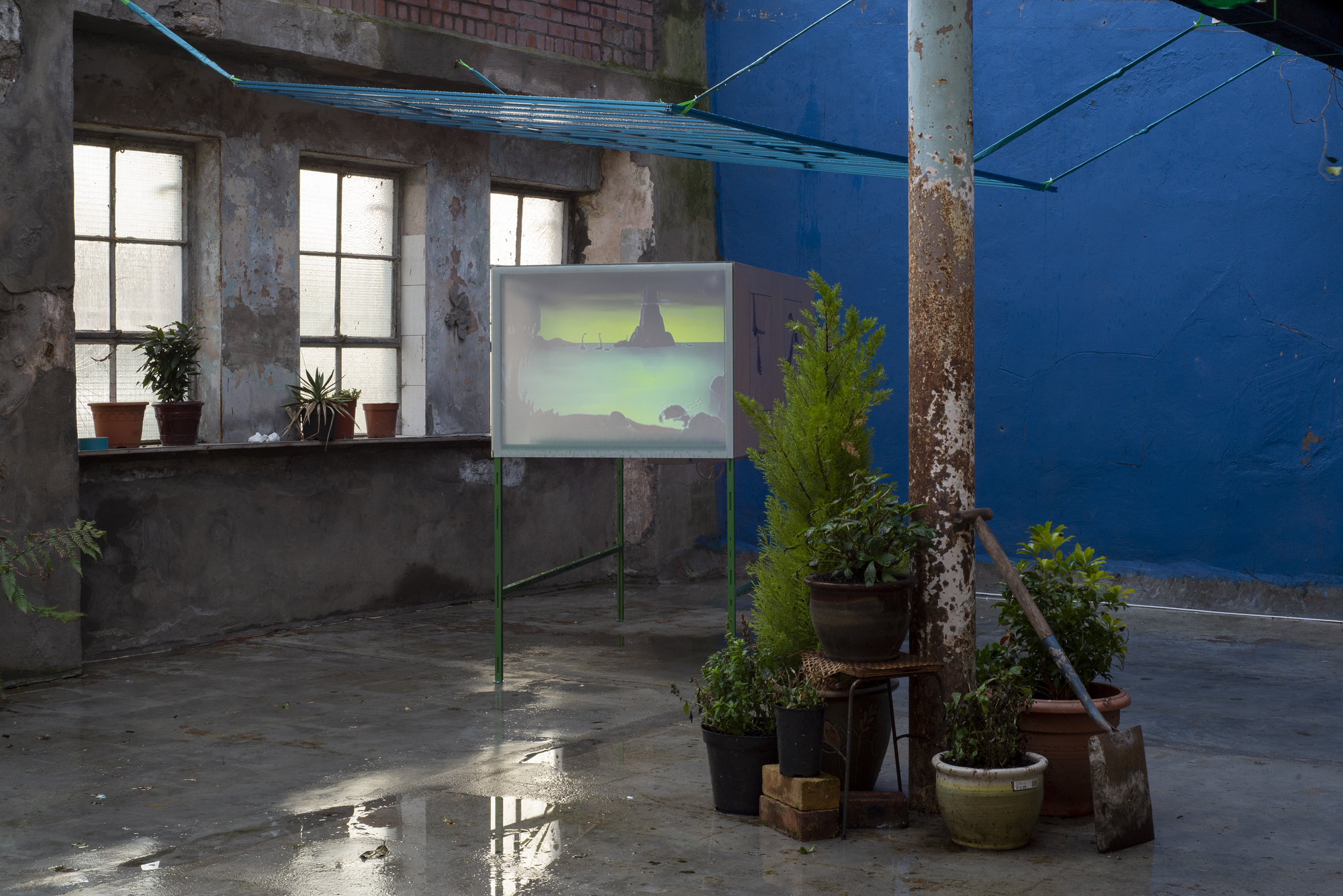 Garden2 - Cinema for Basil, Mirko Canesi, Contra, Garden, 2018 at David Dale Gallery, Glasgow