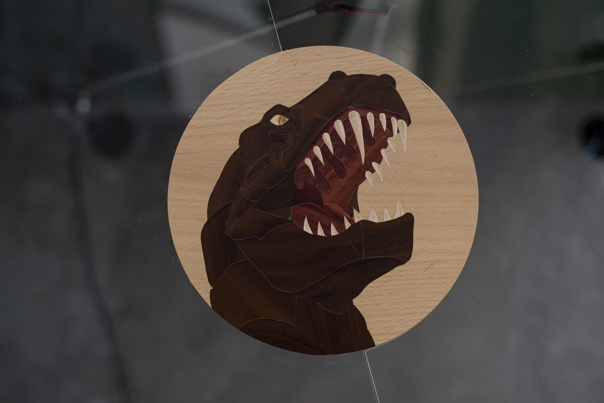 Garden6 - Cinema for Basil, Mirko Canesi, Contra, Garden, 2018 at David Dale Gallery, Glasgow