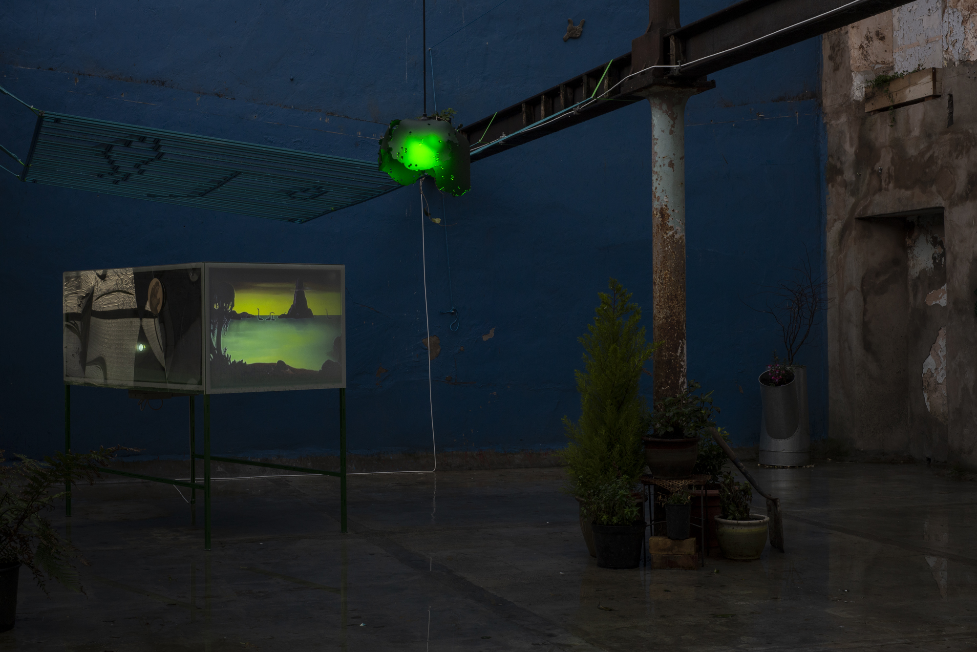 Garden8 - Cinema for Basil, Mirko Canesi, Contra, Garden, 2018 at David Dale Gallery, Glasgow